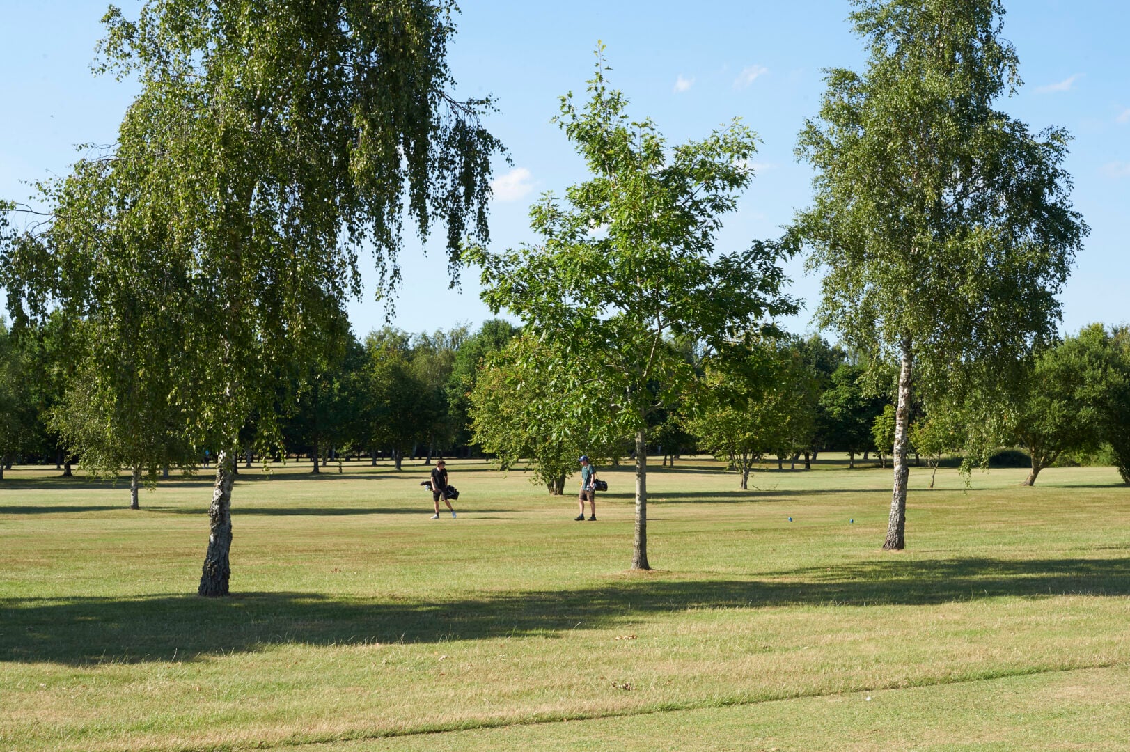 Mattishall_Golf_Club_II_0467